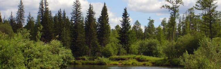 Баннер 1